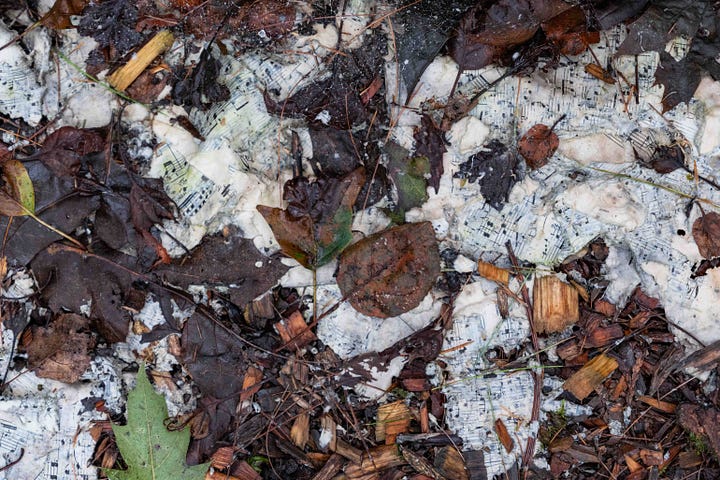 paper, decomposing paper, musical score, notes on a page, compost