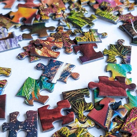 Flipsi Enchanted Sands Double Sided Jigsaw Puzzle