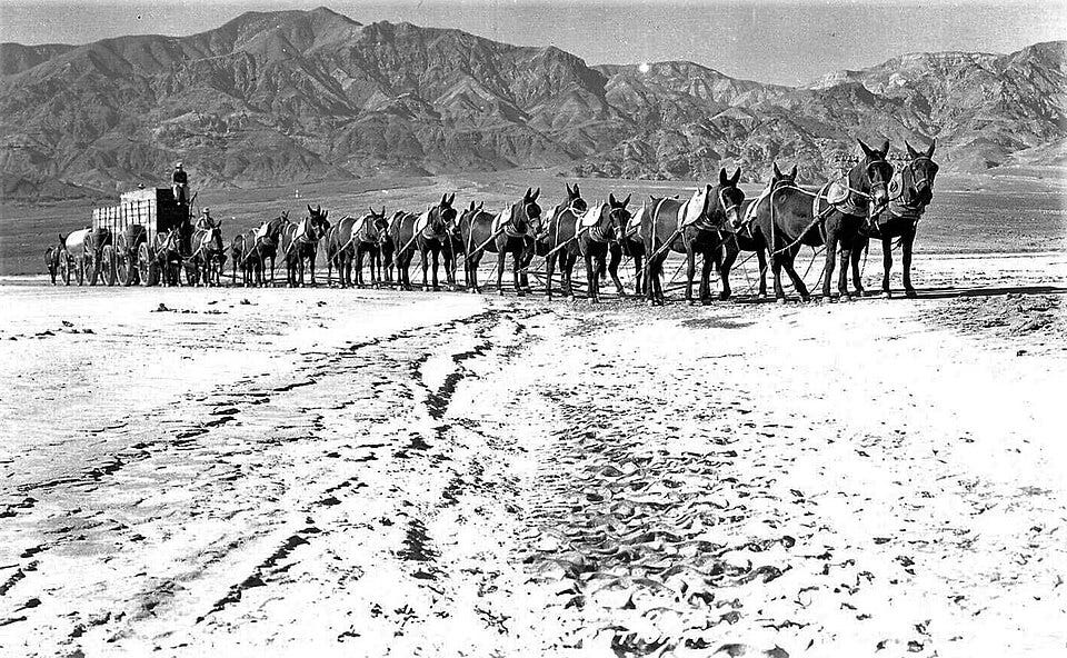 File:20 Mule Team in Death Valley.jpg File:20 Mule Team in Death Valley.jpg