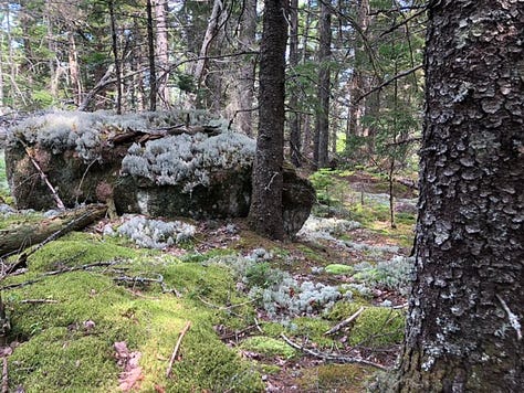 Acadia National Park