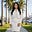 PamPandeyRealtor's avatar