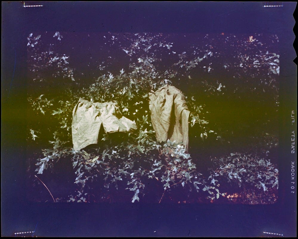 Cemel- short + jacket belonging to G.I., laying over branches on trees in the sun