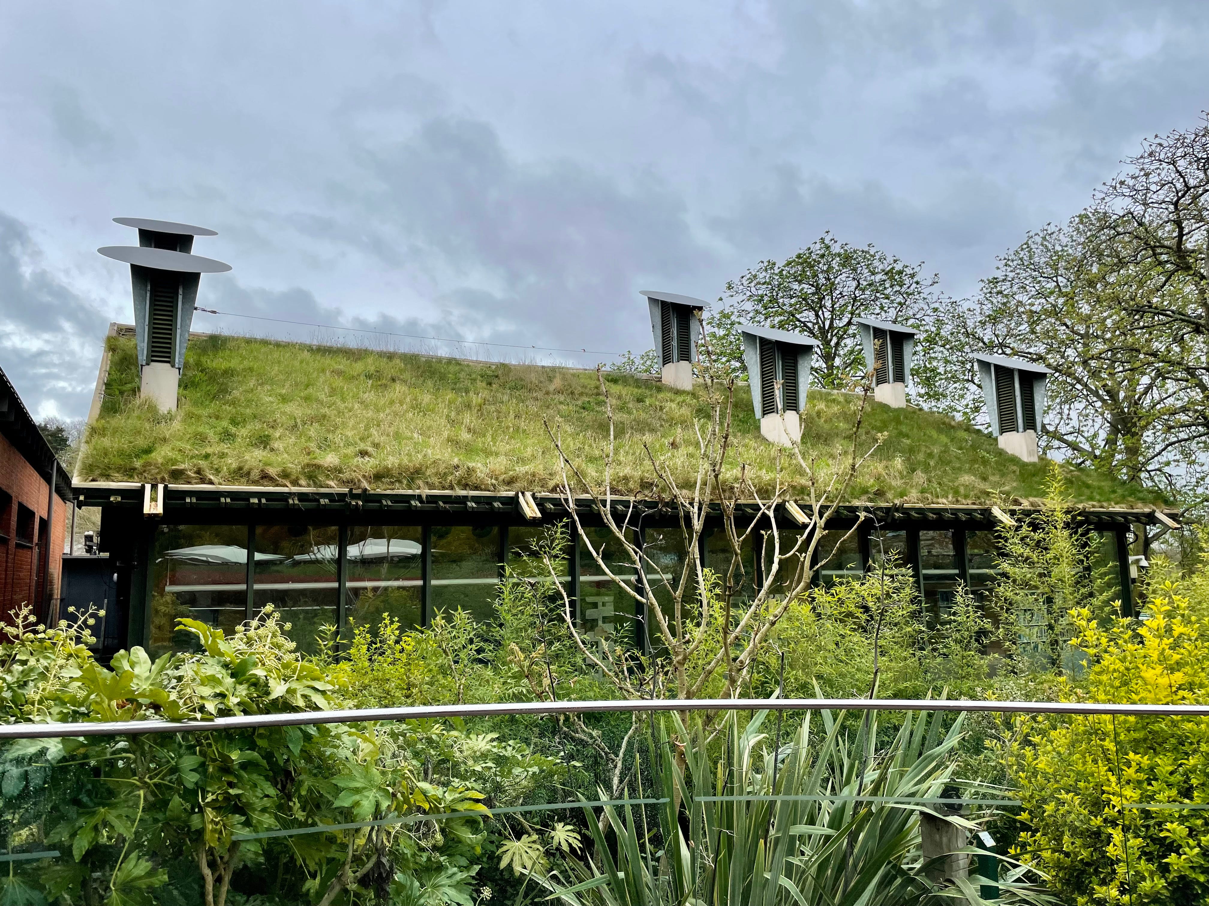 British Gardener versus American Gardener - by Boaz Frankel, image size:4032x3024