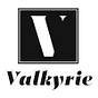 Valkyrie Fund's avatar