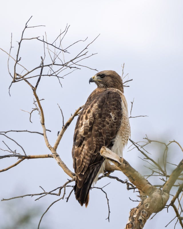 20260205-AvraValley-61-Edit.jpg 20260205-AvraValley-61-Edit.jpg