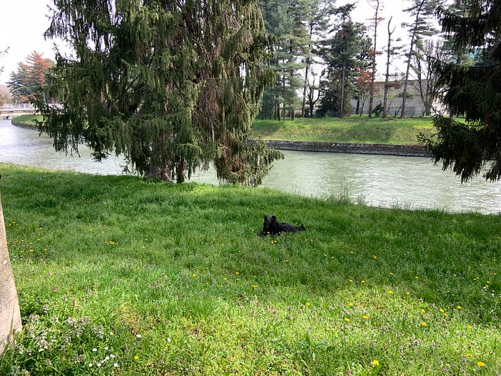 Interesting Places to Visit in Italy: Po River and Cavour Canal in the city of Chivasso