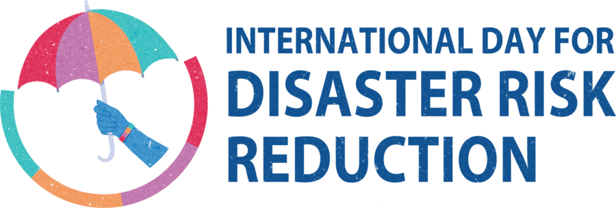 IDDRR Logo