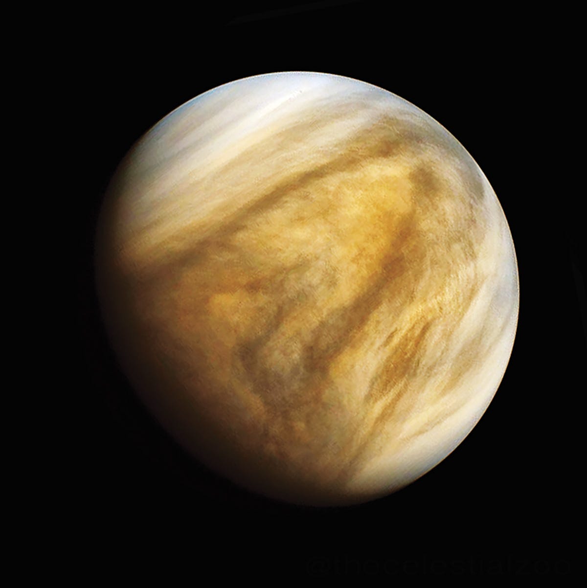 What can we learn from Venus? What can we learn from Venus?