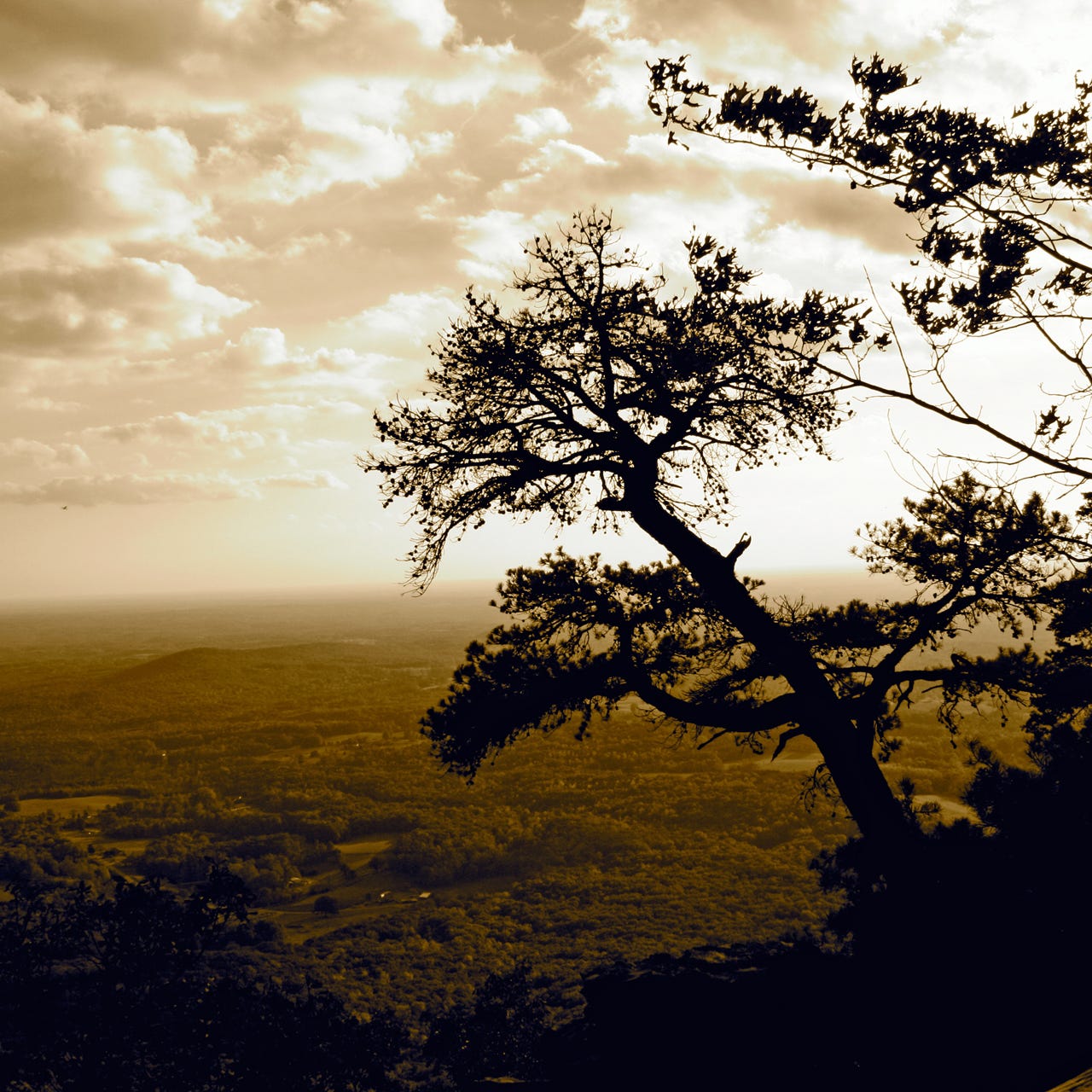 Artistic Mystic Soul