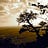 Artistic Mystic Soul