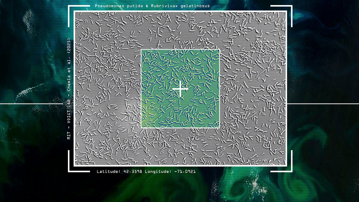 Seeing Microbes from the Sky
