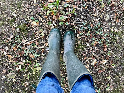 muddy walking boots; wellies on rough ground; a cat inspecting some sandals
