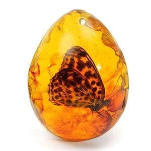 Real Fossil Butterfly in Amber Keychain – Unique Natural Insect Encased in Ancient Resin – Fossil Jewelry – Perfect Gift for Nature Lovers