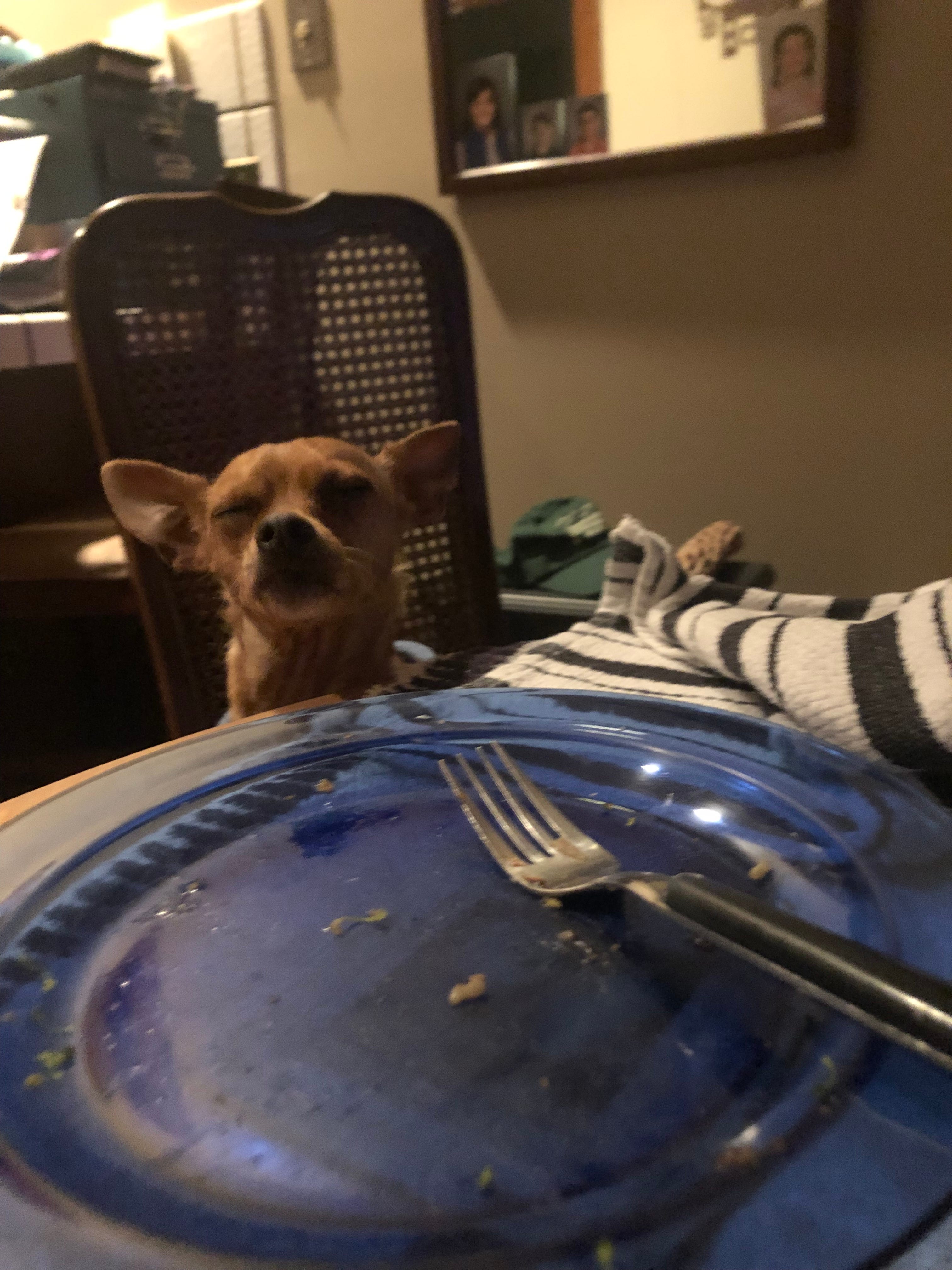 Abigail’s Substack