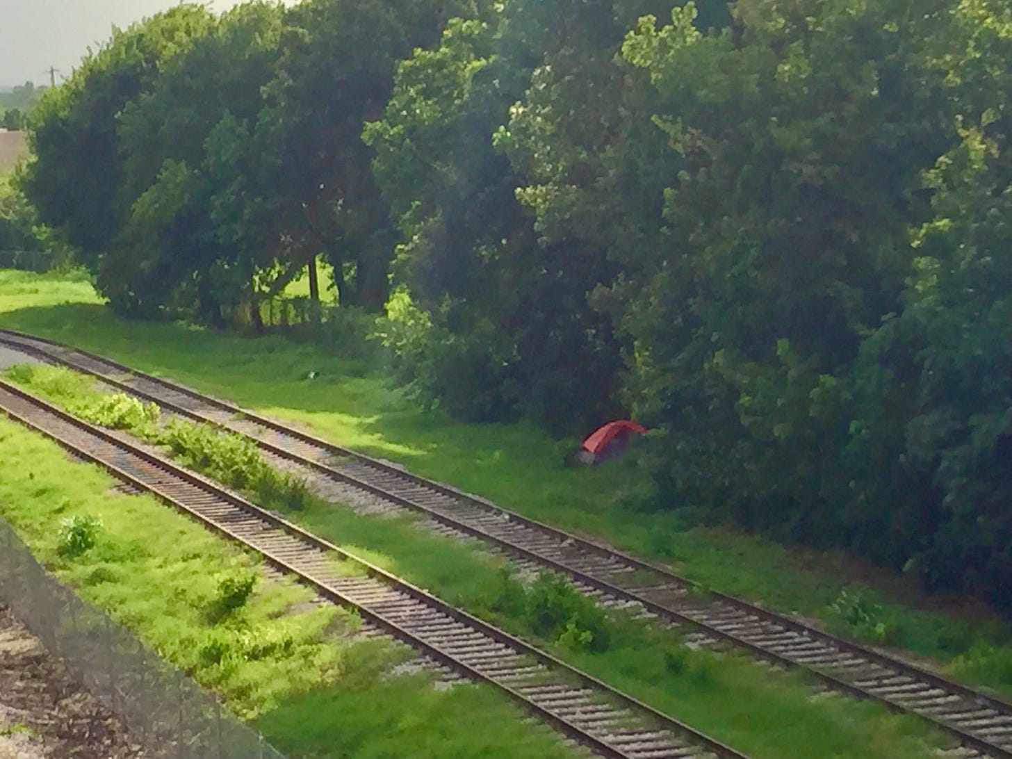 Trees along train tracks with a small red tent Trees along train tracks with a small red tent