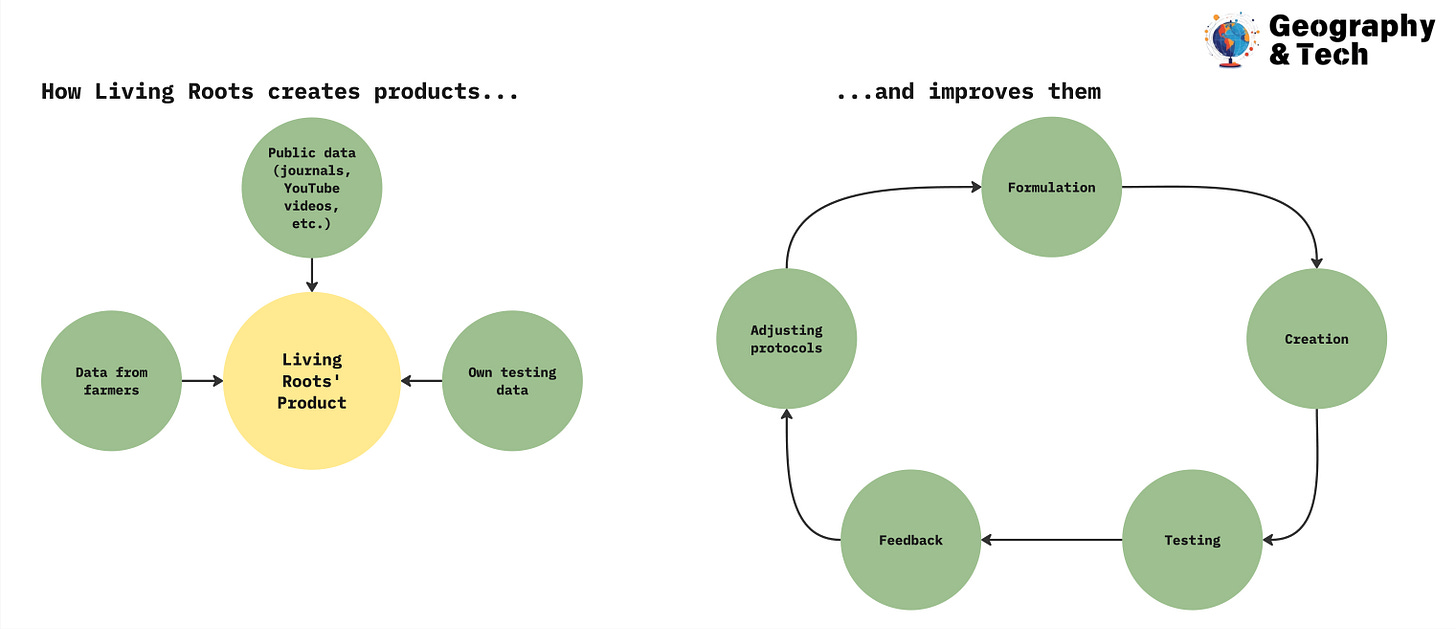 living roots model.jpg