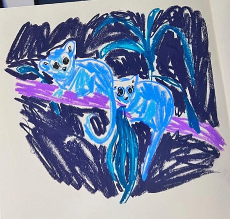 nocturnal and sea creature illustrations from Introvert Drawing Club