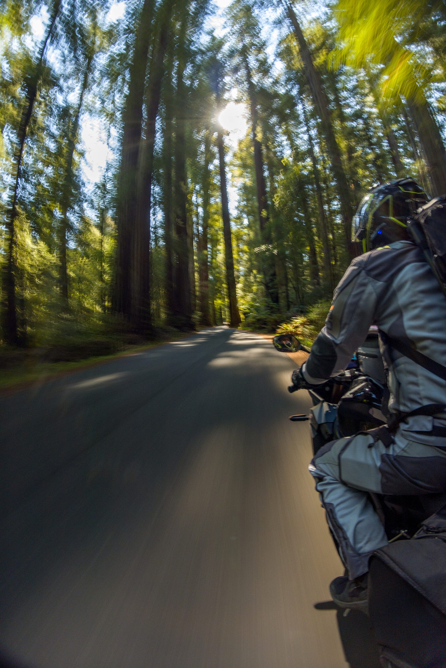 Man rides a motorcycle down a narrow road lines with giant redwood trees. The redwoods reach high into the sky, casting much of the land in shade. Sunlight filters through in patches.