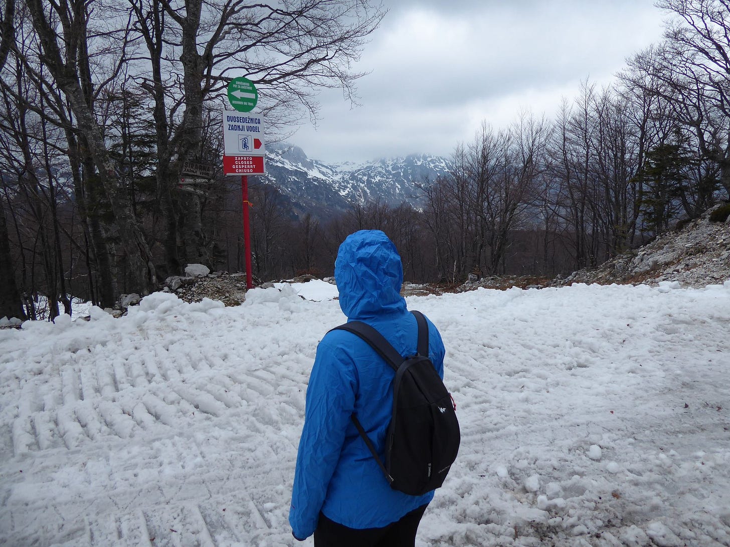 Bled and Bohinj: A tale of two lakes