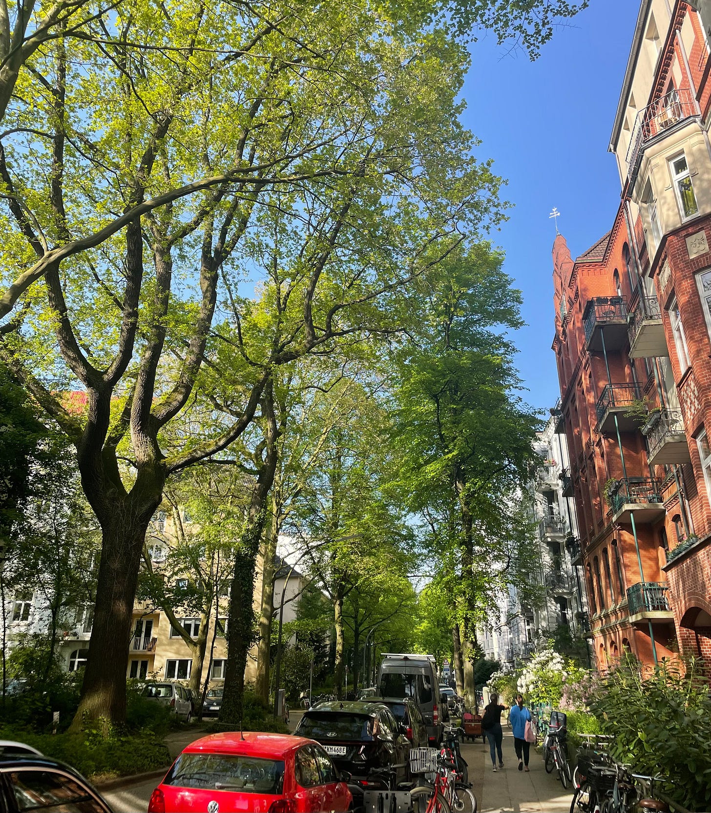 A sidewalk in Hamburg - red brick apartments on one side, teeming trees on the other