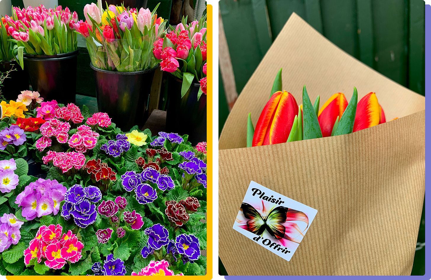 Scenes from the flower market