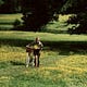Meadow Mind