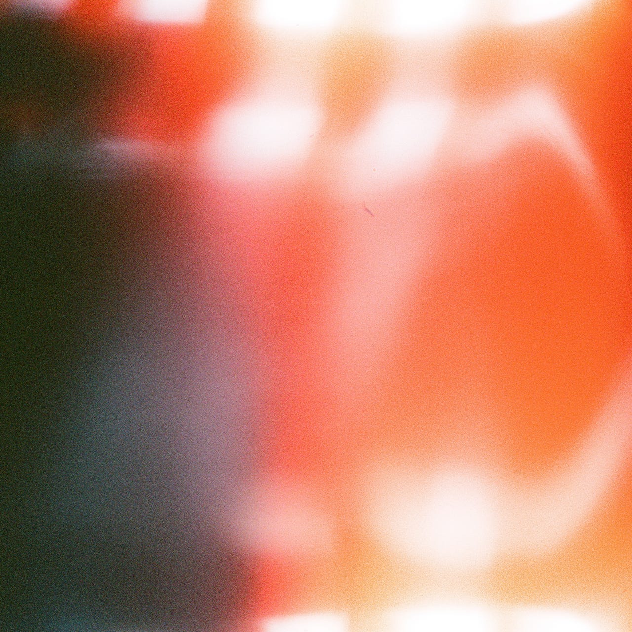 A Vibrant Life Outdoors