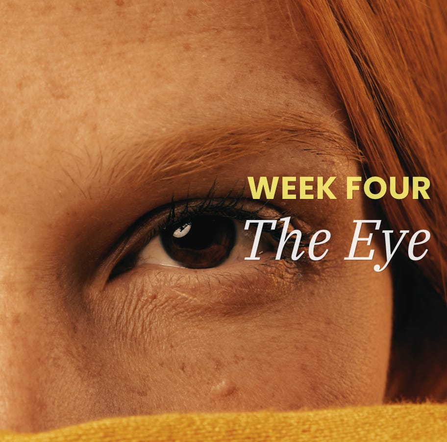 Week 4 · Day 2 — The Eye