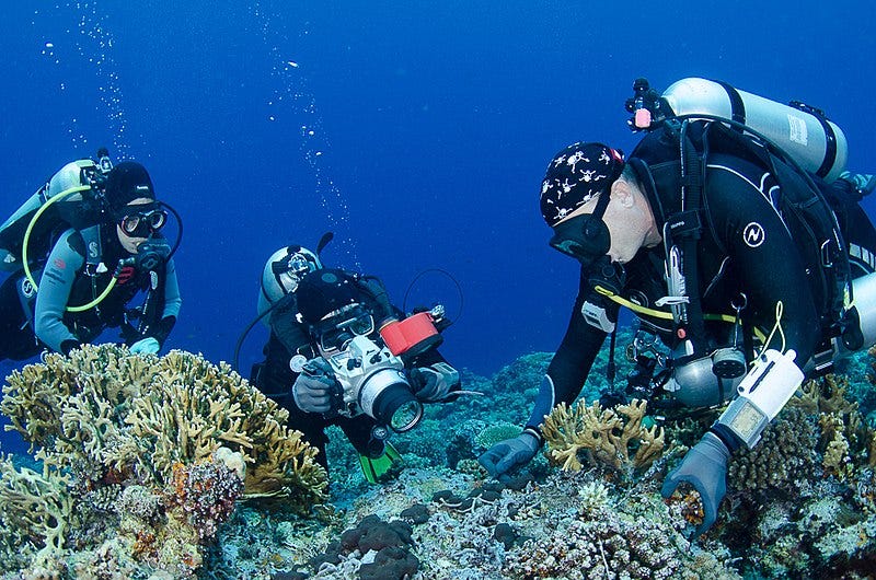 File:Scientists at work in the Bird's Head Seascape.jpg File:Scientists at work in the Bird's Head Seascape.jpg