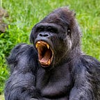 Primatology.net