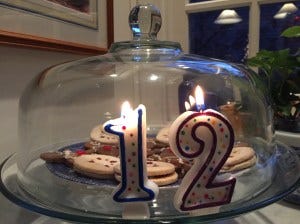PUAC 12 cookie dome PUAC 12 cookie dome