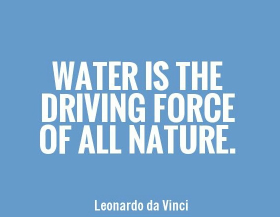 Leonardo da Vinci | Tribal Simplicity