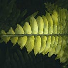 Is Your Spine Strong Enough To Support Your Story?