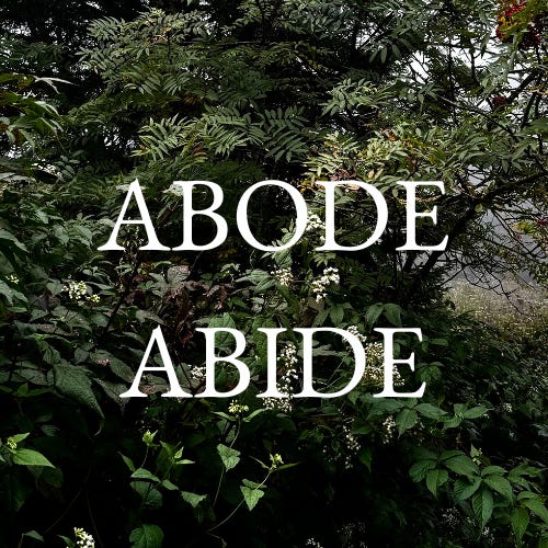 Abode Abide