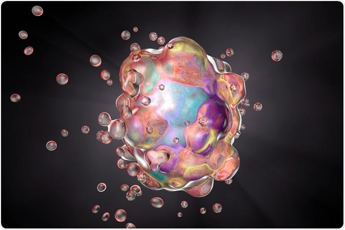 What is Apoptosis?