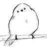 4noki Official Newsletter