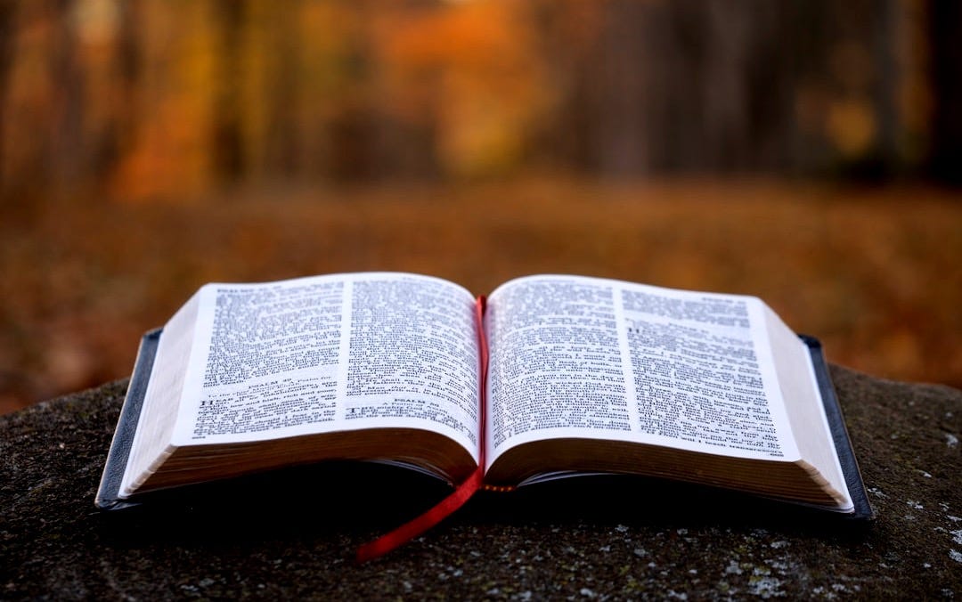 bible page on gray concrete surface bible page on gray concrete surface