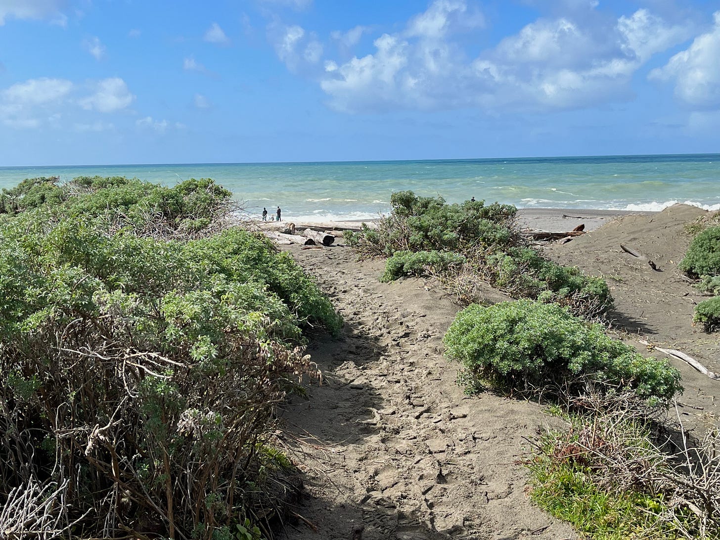 Path to the sea, Gualala CA, Photo by Robin Applegarth