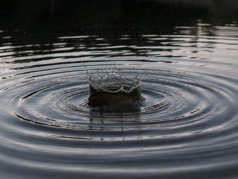 A serene pond with a splash of water creating ripples, set in a dark natural background.
