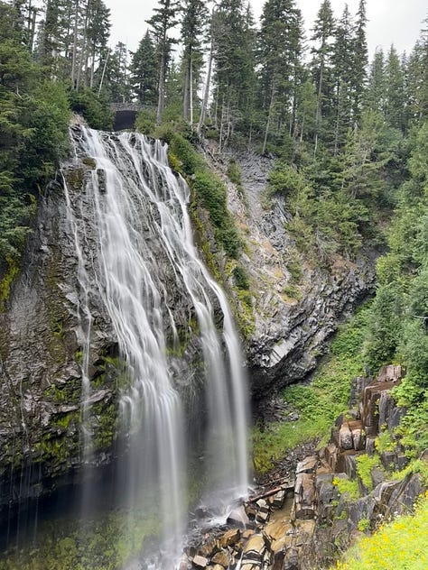 Hiking inside mount Tahoma park