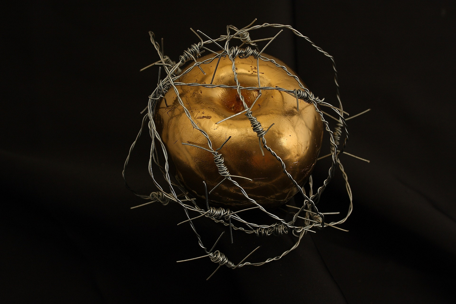 A golden apple surrounded by barbed wire