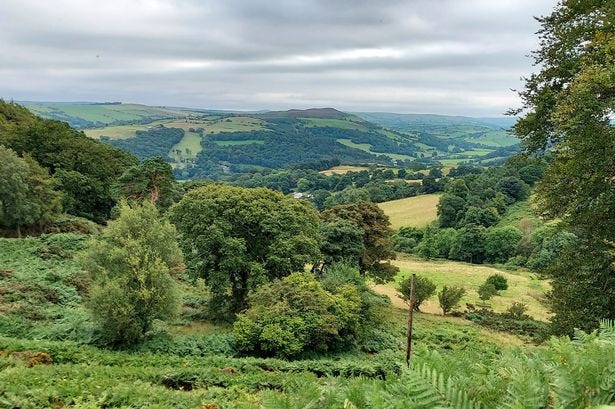 Views over the countryside surrounding Moelfre Uchaf