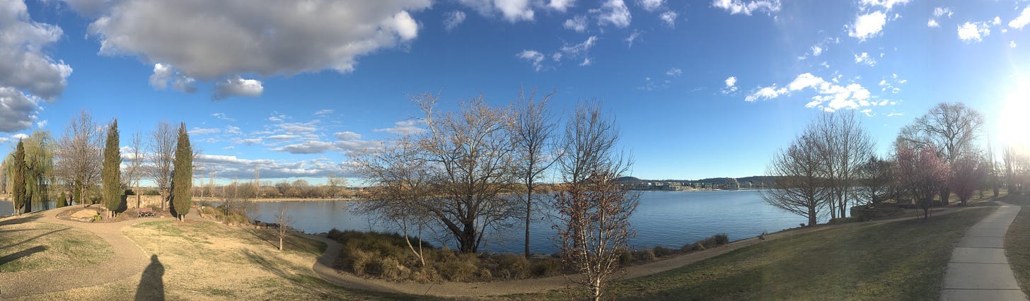 A panoramic photo of a path by a lake with bare trees and poplars and browned grass. At bottom left my long shadow is taking the photo. 