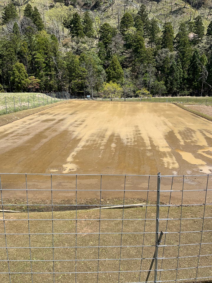 Pictures of oni, Futasegawa Gorge and preparing rice fields