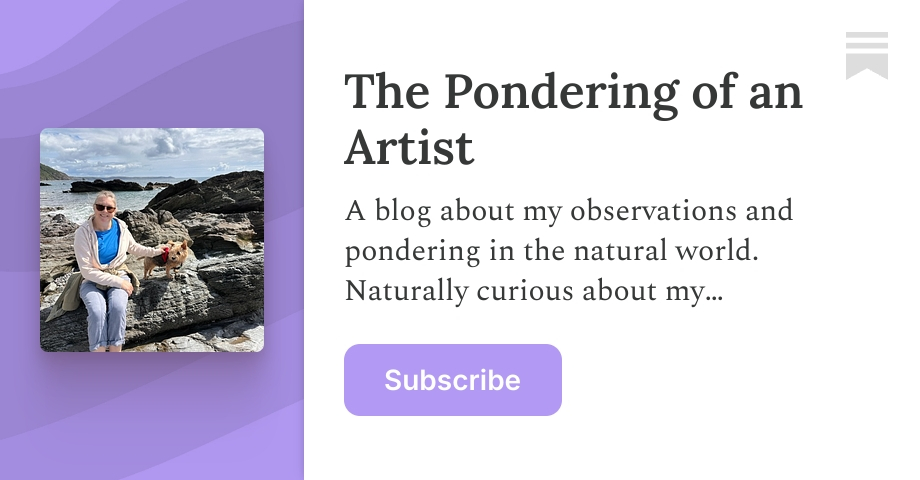 The Pondering of an Artist | Substack