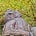 Lisa J. Kiefer's avatar