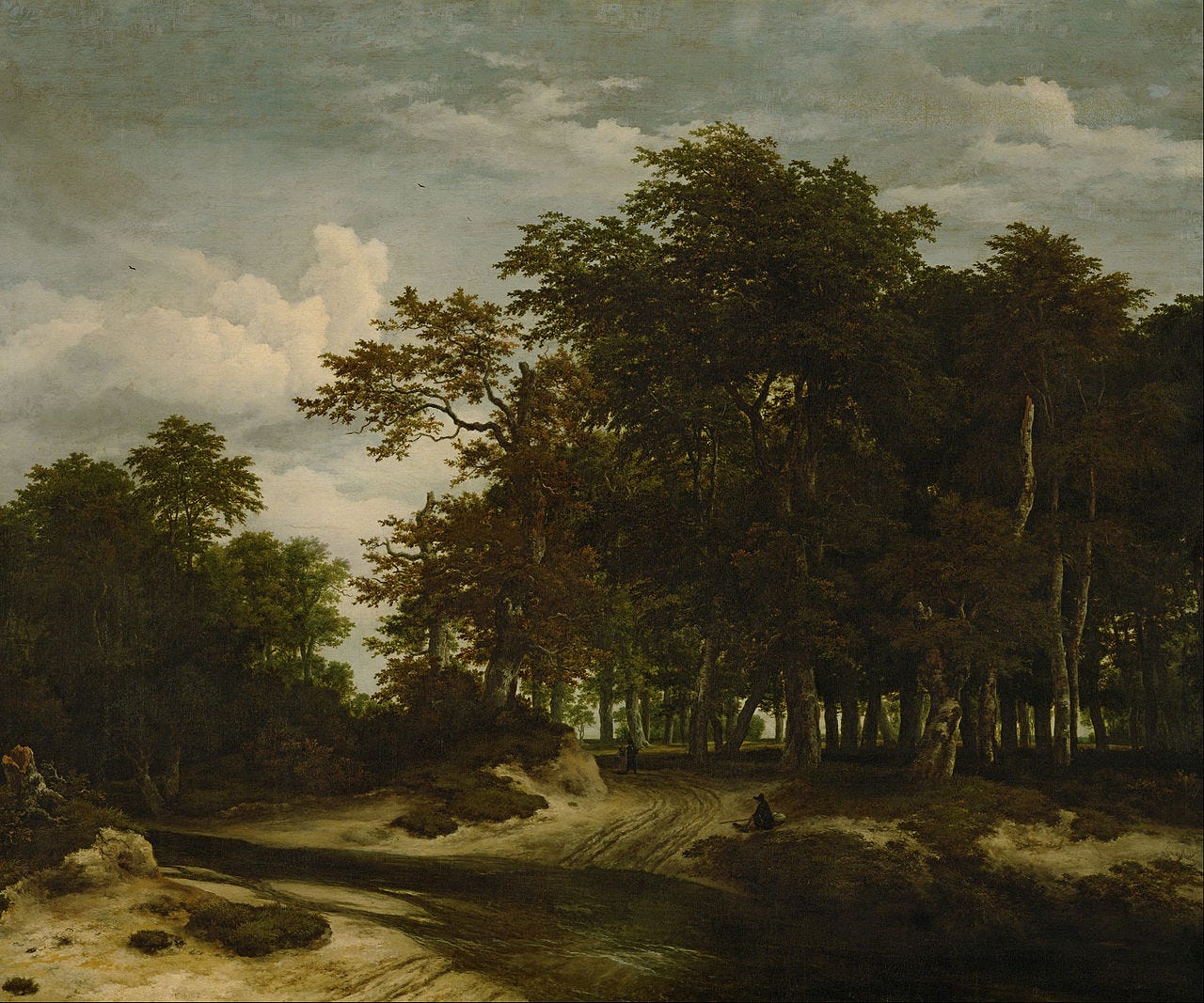 A sandy forest path winds past tall trees and a fallen dead trunk under a cloudy sky A sandy forest path winds past tall trees and a fallen dead trunk under a cloudy sky