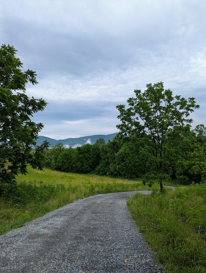 narrow, tree-lined gravel road curving through field with view of the Blue Ridge Mountains in distance under cloudy sky