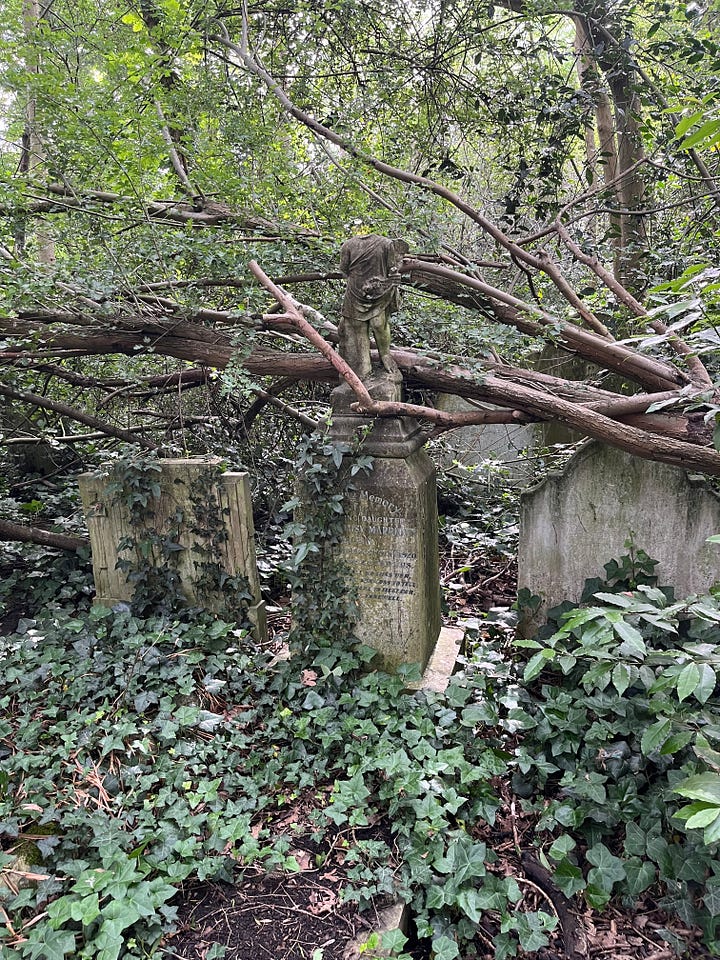 Gravestones upended by mass overgrowth