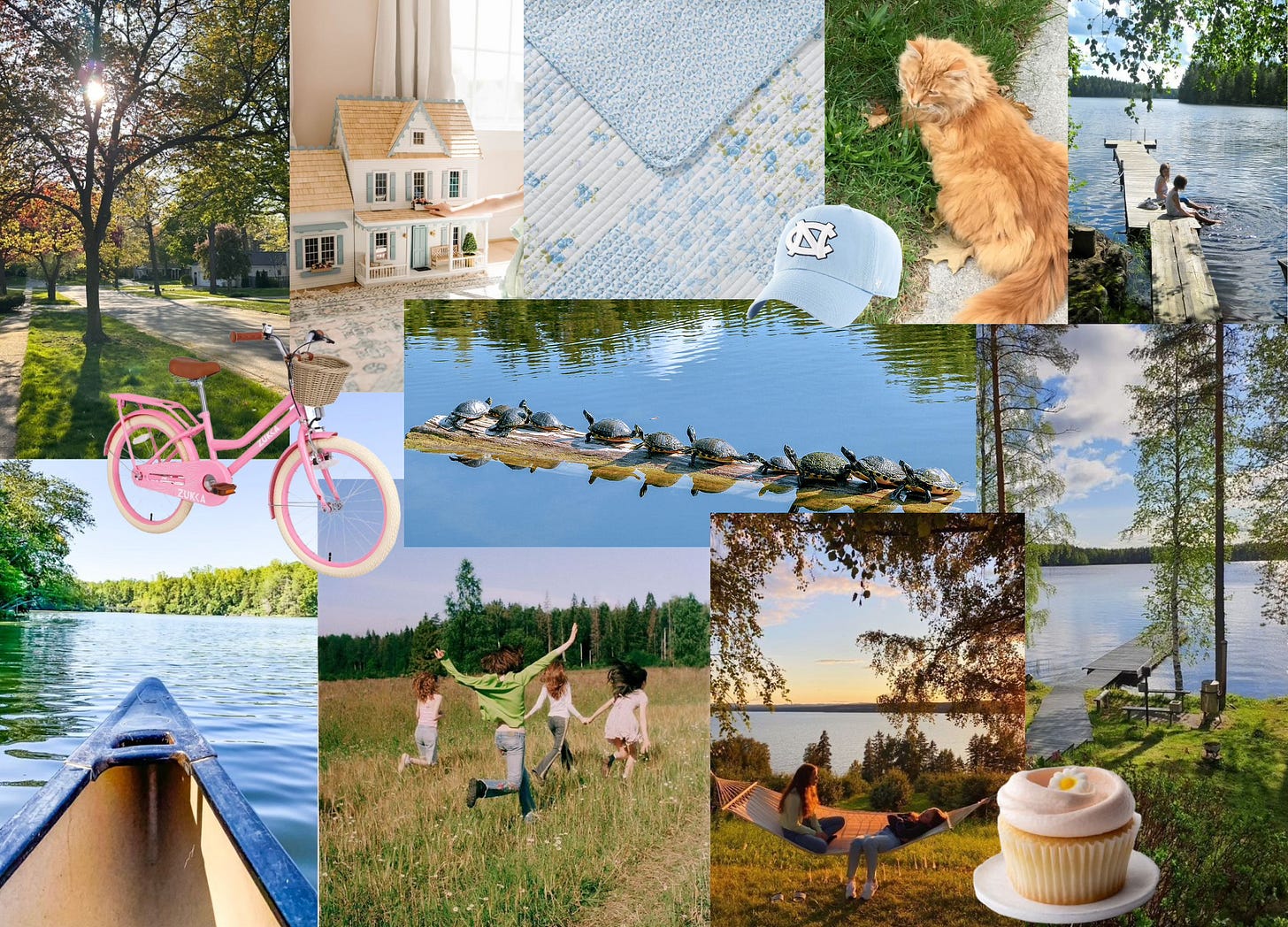 Mood board of summer, turtles, dollhouse, bike, cupcakes, orange cat, children playing, and the woods and lake Mood board of summer, turtles, dollhouse, bike, cupcakes, orange cat, children playing, and the woods and lake